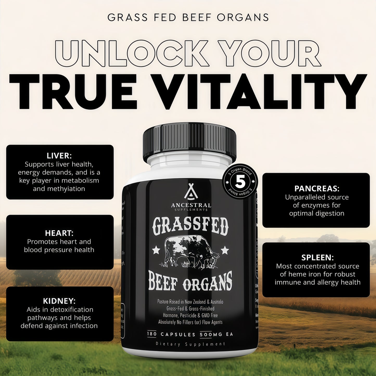 Ancestral Supplements Grass Fed Beef OrganSupplement, Supports Whole Body Wellnesswith Proprietary Blend of Liver, Heart, Kidney,Pancreas, Spleen, Freeze-Dried Beef, Non-GMO, 180 Capsules