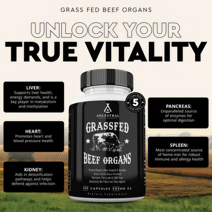 Ancestral Supplements Grass Fed Beef OrganSupplement, Supports Whole Body Wellnesswith Proprietary Blend of Liver, Heart, Kidney,Pancreas, Spleen, Freeze-Dried Beef, Non-GMO, 180 Capsules